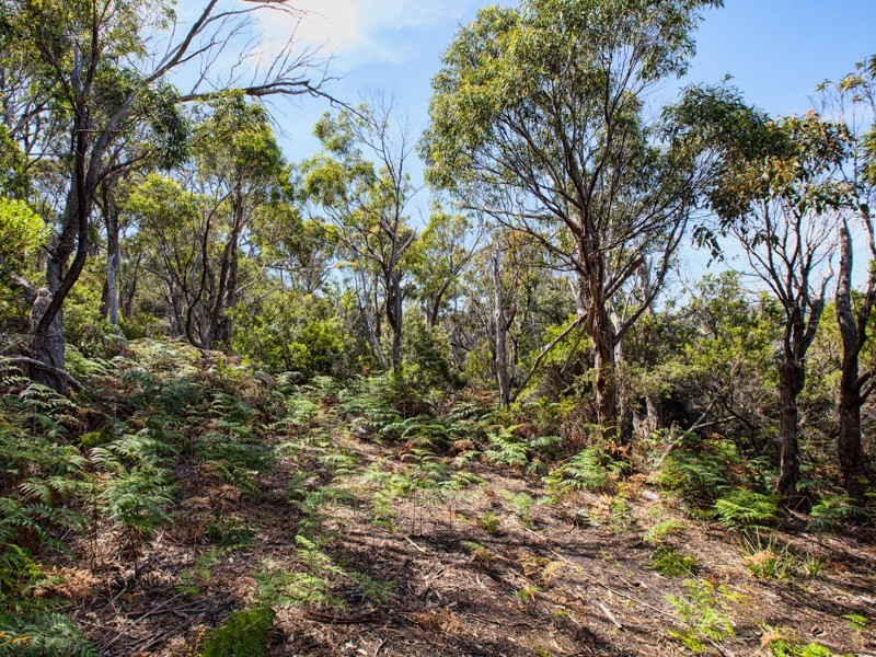 489 Roaring Beach Road, Nubeena TAS 7184