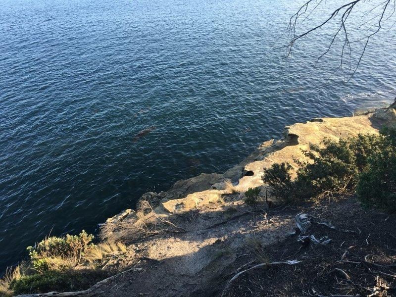 489 Roaring Beach Road, Nubeena TAS 7184