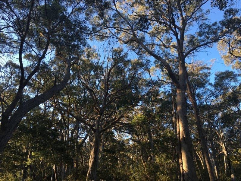 489 Roaring Beach Road, Nubeena TAS 7184