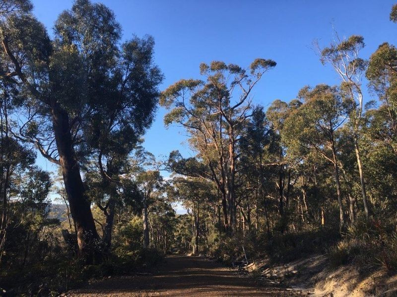 489 Roaring Beach Road, Nubeena TAS 7184