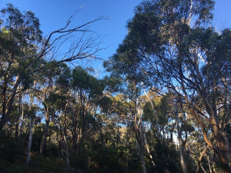 489 Roaring Beach Road, Nubeena TAS 7184