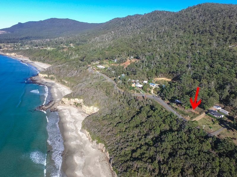 74 Blowhole Road, Eaglehawk Neck TAS 7179