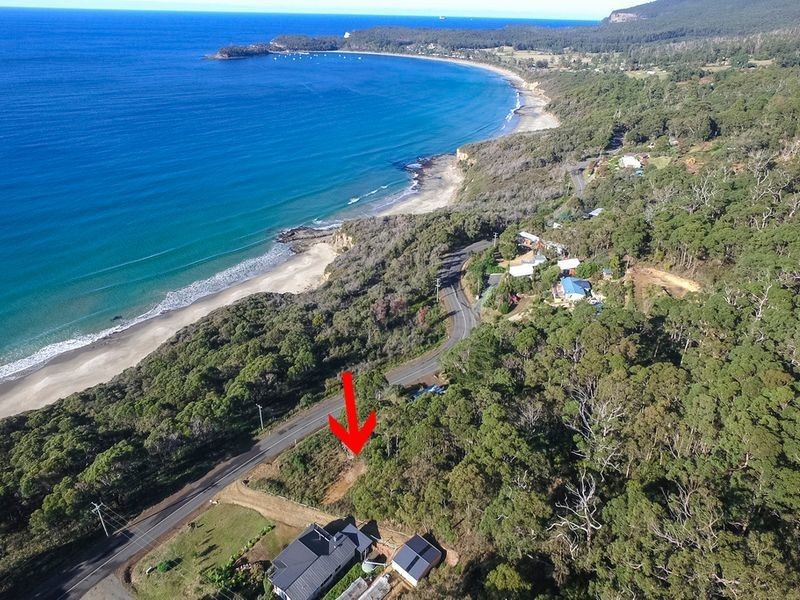 74 Blowhole Road, Eaglehawk Neck TAS 7179