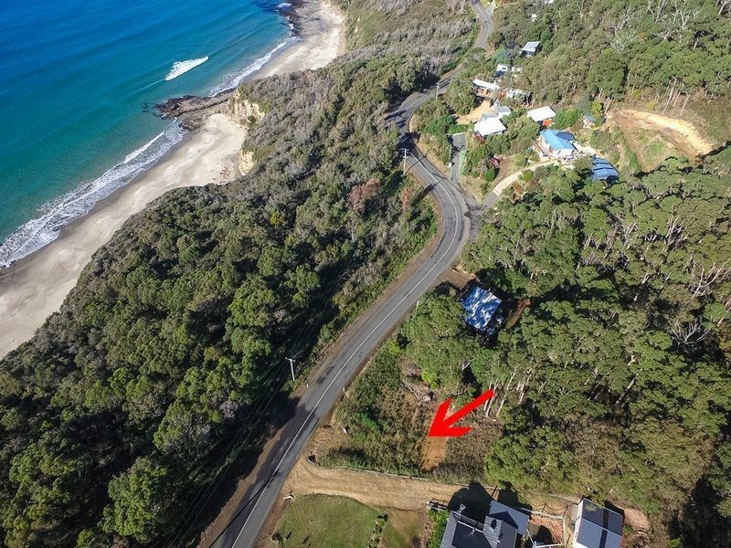 74 Blowhole Road, Eaglehawk Neck TAS 7179
