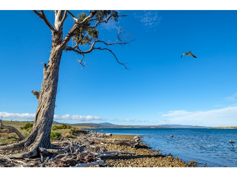 Lot 3 Fulham Road, Dunalley TAS 7177
