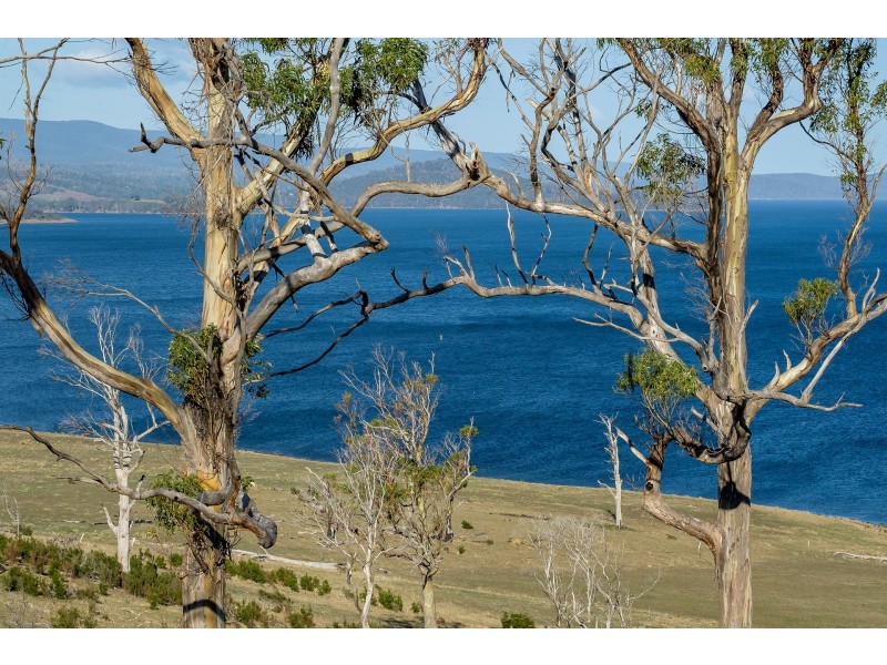 Lot 3 Fulham Road, Dunalley TAS 7177