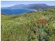 Lot 17, 31 Pirates Bay Drive, Eaglehawk Neck TAS 7179