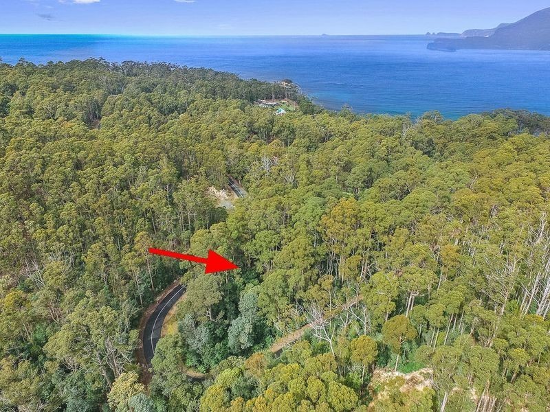 Lot 17, 31 Pirates Bay Drive, Eaglehawk Neck TAS 7179