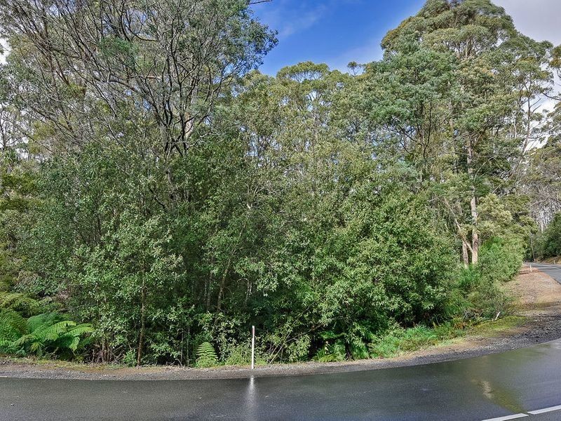 Lot 17, 31 Pirates Bay Drive, Eaglehawk Neck TAS 7179