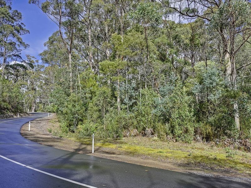 Lot 17, 31 Pirates Bay Drive, Eaglehawk Neck TAS 7179