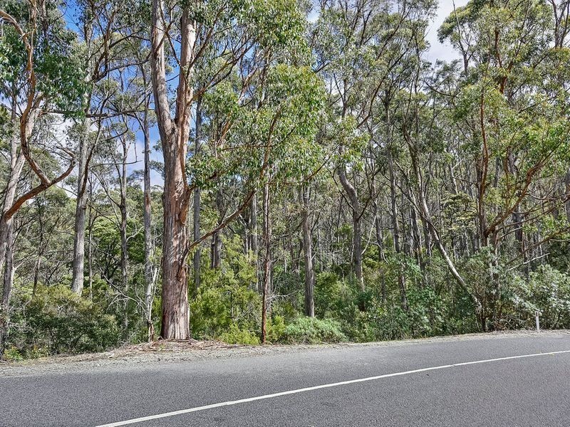 Lot 17, 31 Pirates Bay Drive, Eaglehawk Neck TAS 7179