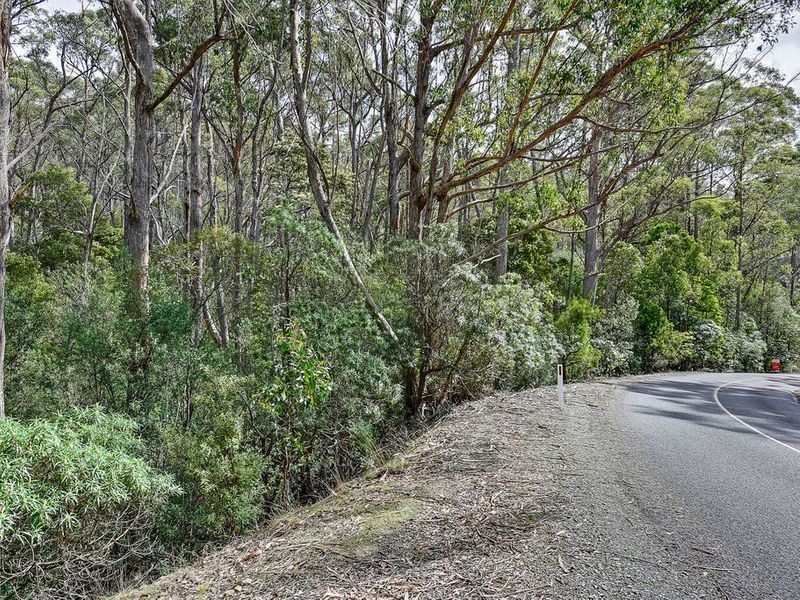 Lot 17, 31 Pirates Bay Drive, Eaglehawk Neck TAS 7179