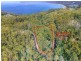 Lot 17, 31 Pirates Bay Drive, Eaglehawk Neck TAS 7179