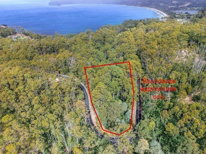 Lot 17, 31 Pirates Bay Drive, Eaglehawk Neck TAS 7179