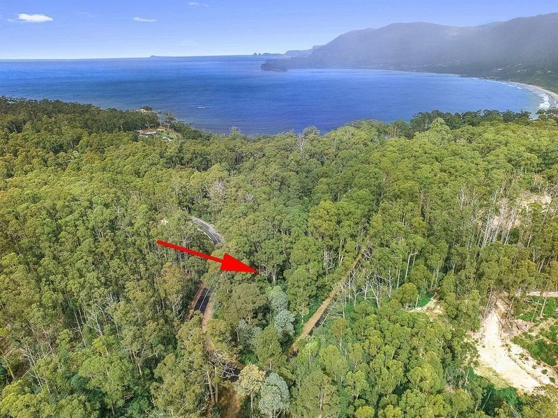 Lot 17, 31 Pirates Bay Drive, Eaglehawk Neck TAS 7179