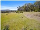 Lily Street, White Beach TAS 7184