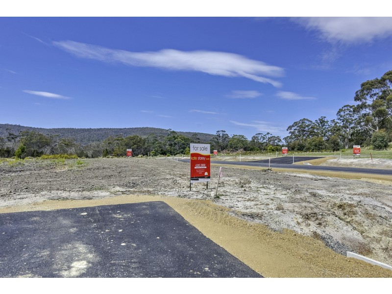Lily Street, White Beach TAS 7184