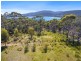 Lily Street, White Beach TAS 7184