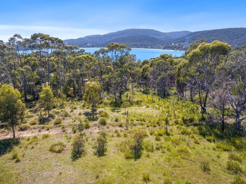 Lily Street, White Beach TAS 7184