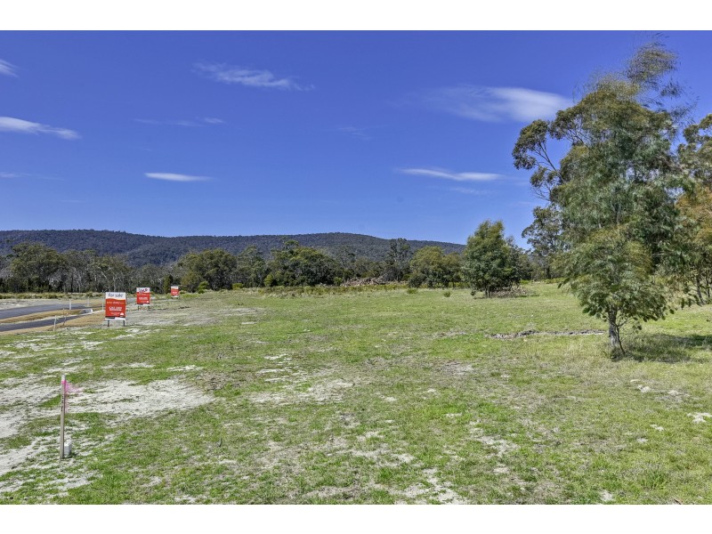 Lily Street, White Beach TAS 7184