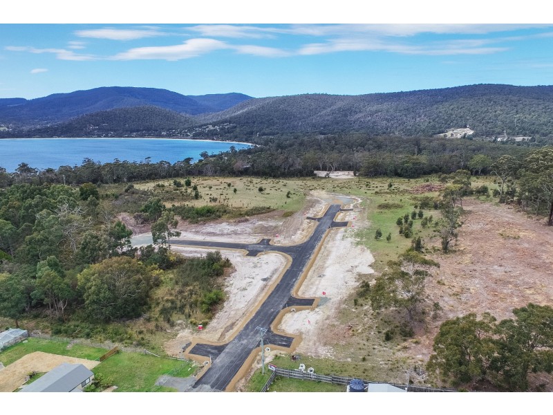 Lily Street, White Beach TAS 7184