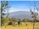 Lily Street, White Beach TAS 7184