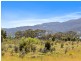 Lily Street, White Beach TAS 7184