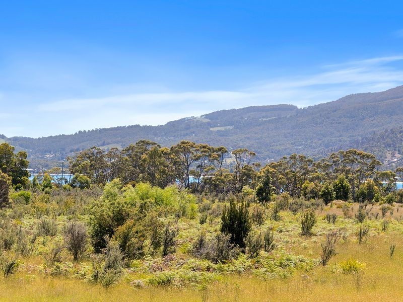 Lily Street, White Beach TAS 7184