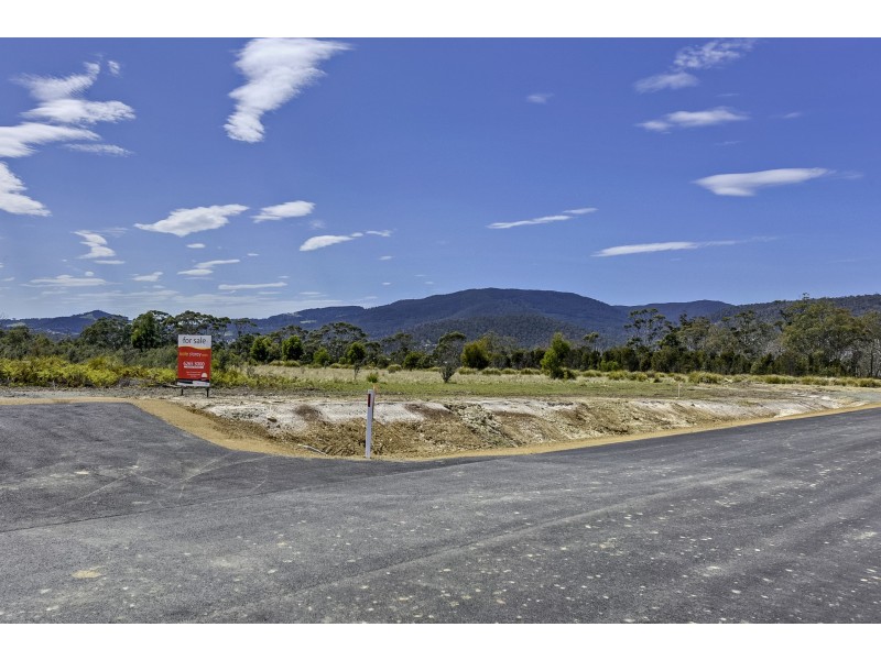 Lily Street, White Beach TAS 7184