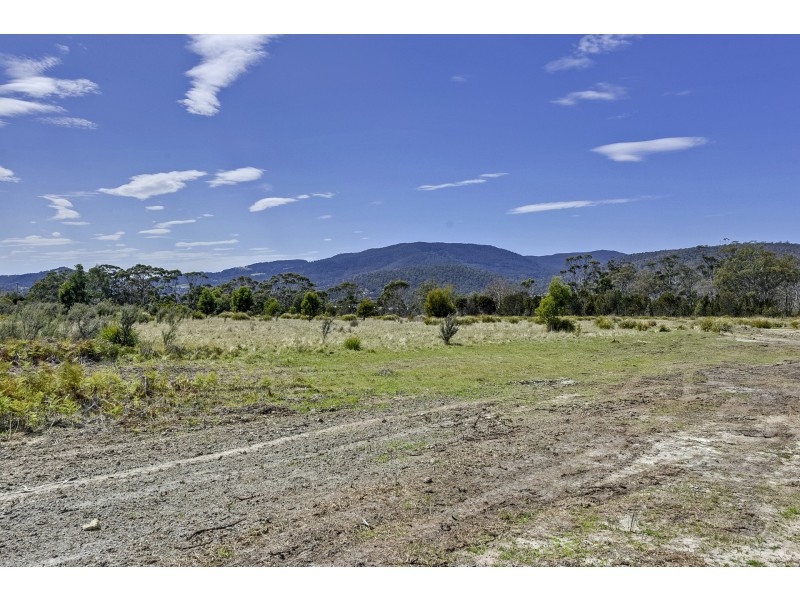 Lily Street, White Beach TAS 7184