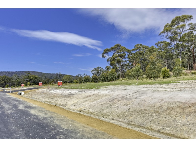 Lily Street, White Beach TAS 7184