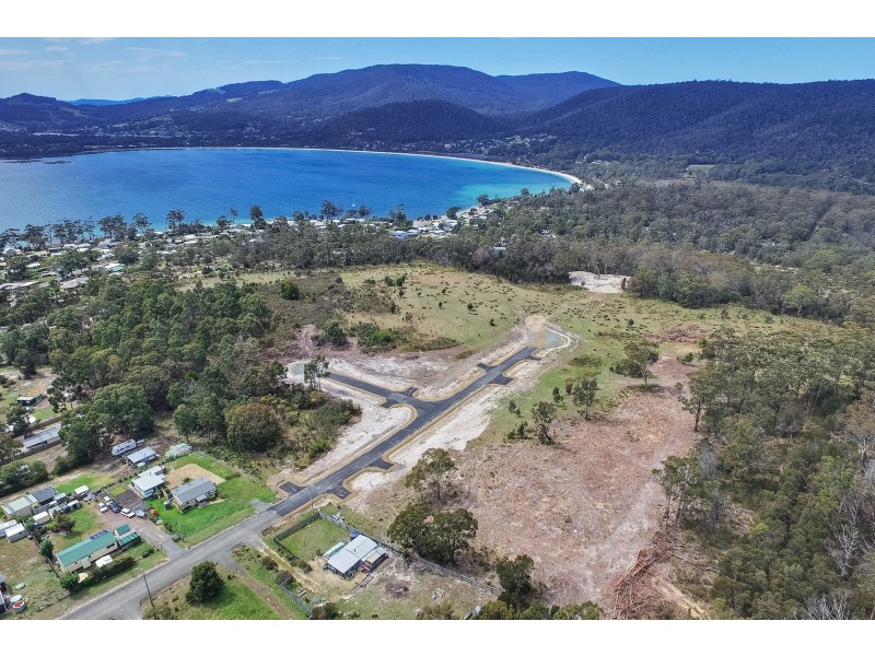 Lily Street, White Beach TAS 7184