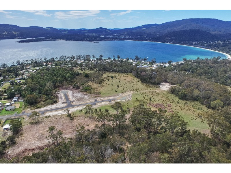 Lily Street, White Beach TAS 7184