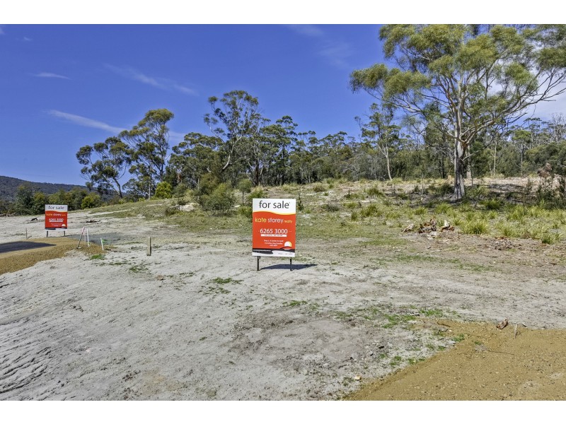 Lily Street, White Beach TAS 7184