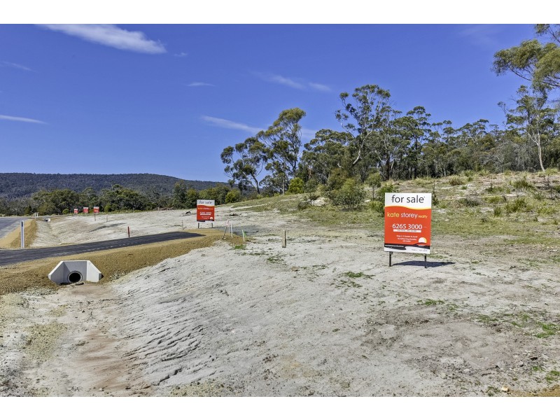 Lily Street, White Beach TAS 7184