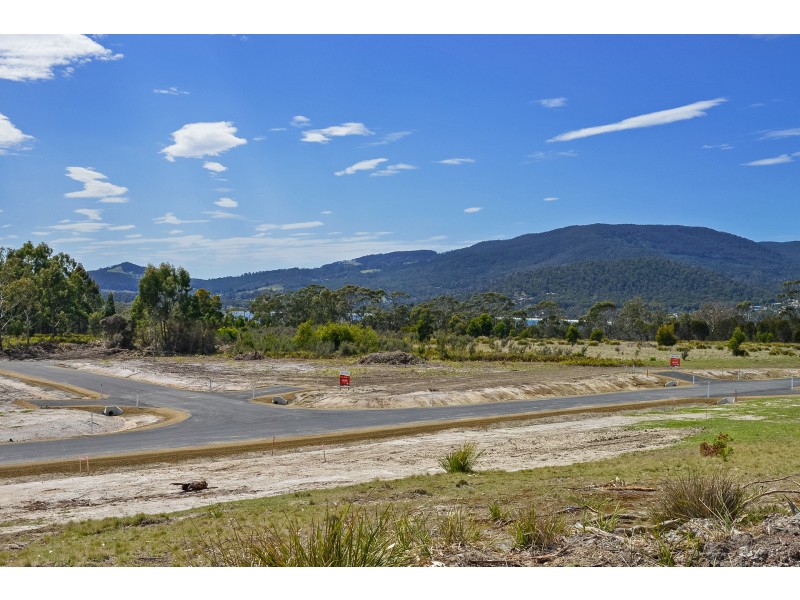 Lily Street, White Beach TAS 7184