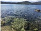 Lot 1 Lena Street, White Beach TAS 7184
