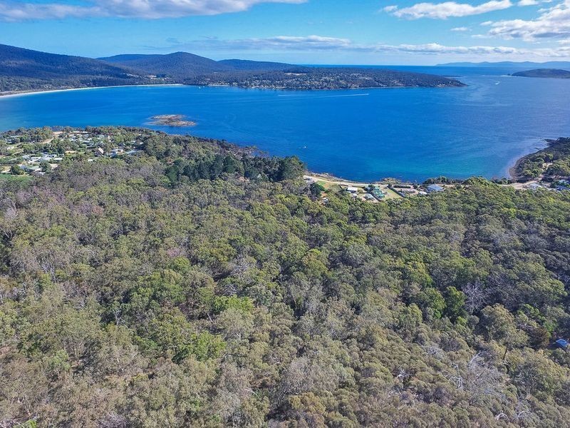 Lot 1 Lena Street, White Beach TAS 7184