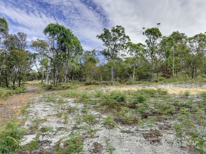 Lot 4 – 650 Primrose Sands Road, Primrose Sands TAS 7173