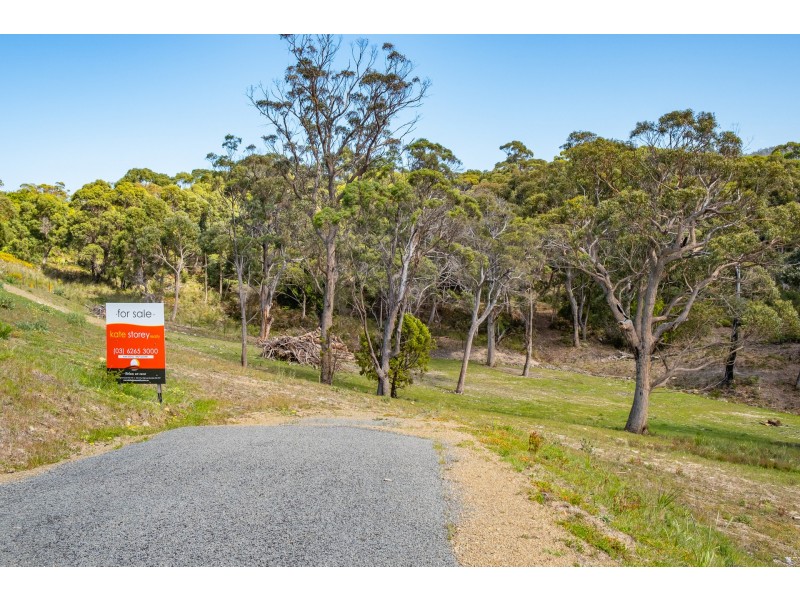 Lots 1-10 Albert Street, Eaglehawk Neck TAS 7179