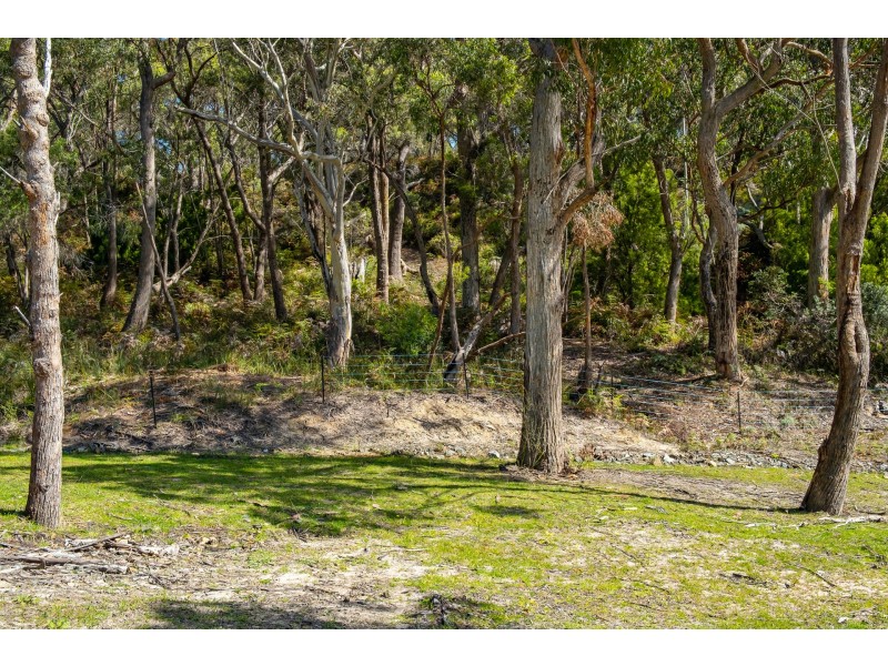 Lots 1-10 Albert Street, Eaglehawk Neck TAS 7179