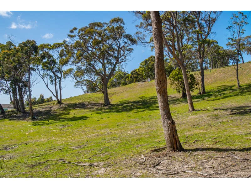 Lots 1-10 Albert Street, Eaglehawk Neck TAS 7179
