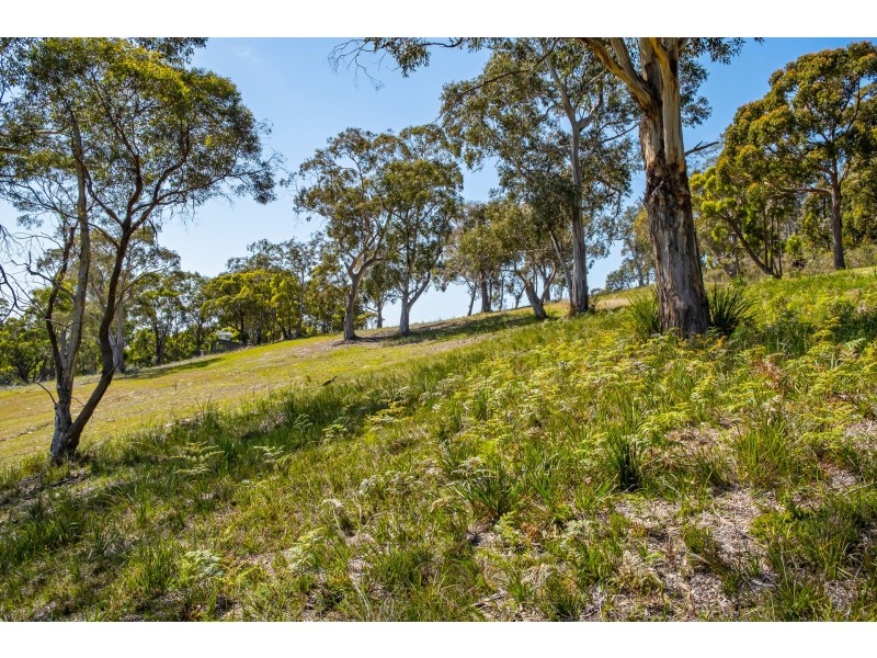 Lots 1-10 Albert Street, Eaglehawk Neck TAS 7179