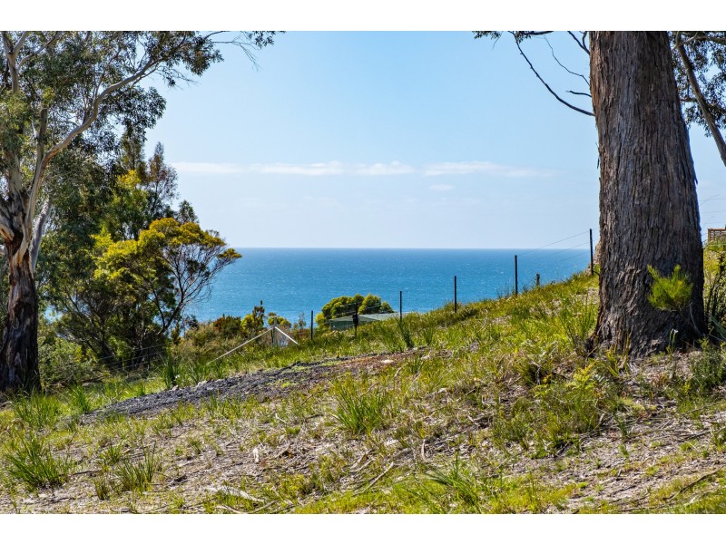 Lots 1-10 Albert Street, Eaglehawk Neck TAS 7179