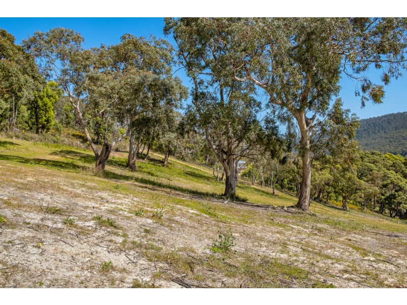 Lots 1-10 Albert Street, Eaglehawk Neck TAS 7179