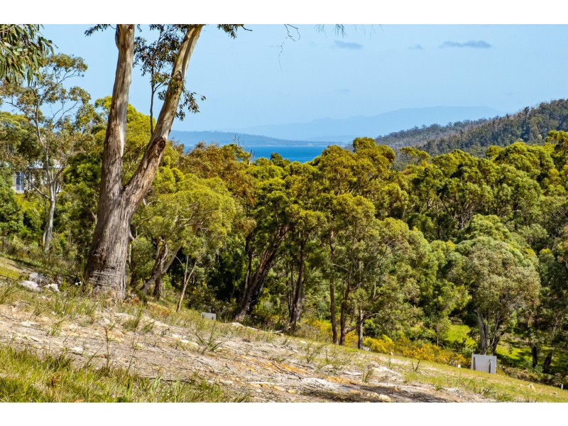 Lots 1-10 Albert Street, Eaglehawk Neck TAS 7179