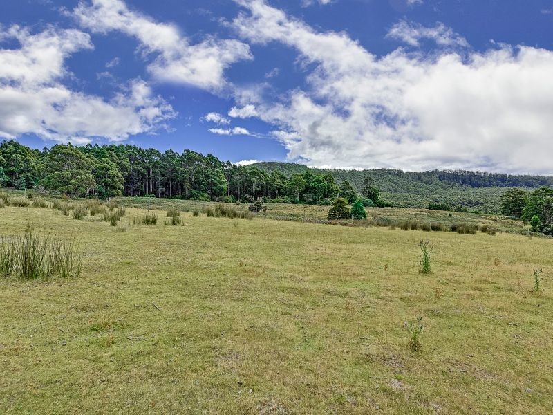 242 Lookout Road, Port Arthur TAS 7182