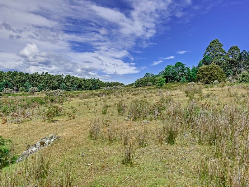 242 Lookout Road, Port Arthur TAS 7182