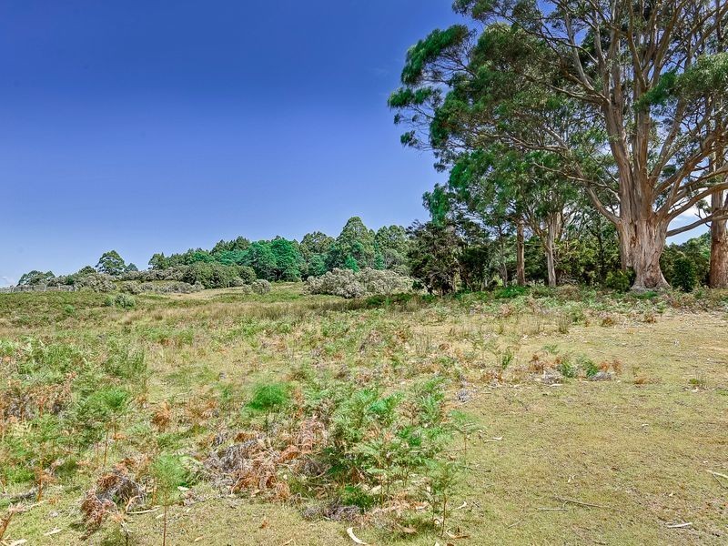 242 Lookout Road, Port Arthur TAS 7182