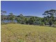 Thomas Street, Taranna TAS 7180